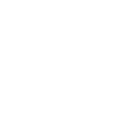 ce logo Carson City