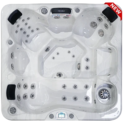 Avalon-X EC-849LX hot tubs for sale in Carson City
