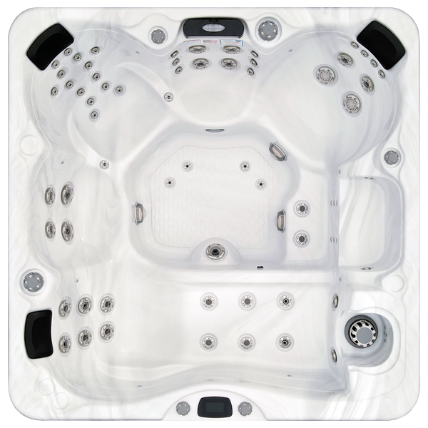 Avalon-X EC-867LX hot tubs for sale in Carson City